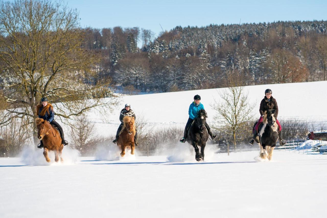 Ferienhof Homann Sauerland Брилон Экстерьер фото